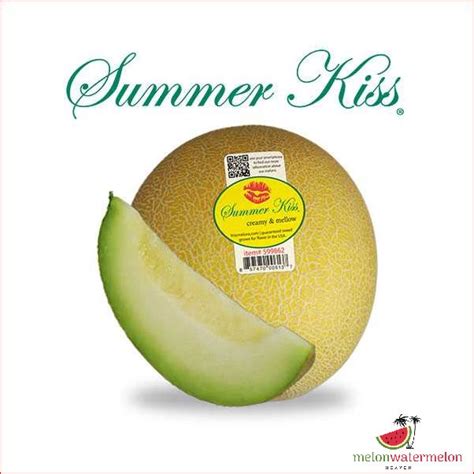 sun kiss melons|Experience The Sweetness Of A Summer Kiss Melon! .